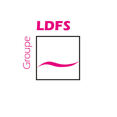 Equipement agroalimentaire : Logo du groupe LDFS ICE spécialisé dans la climatisation et réfrigération